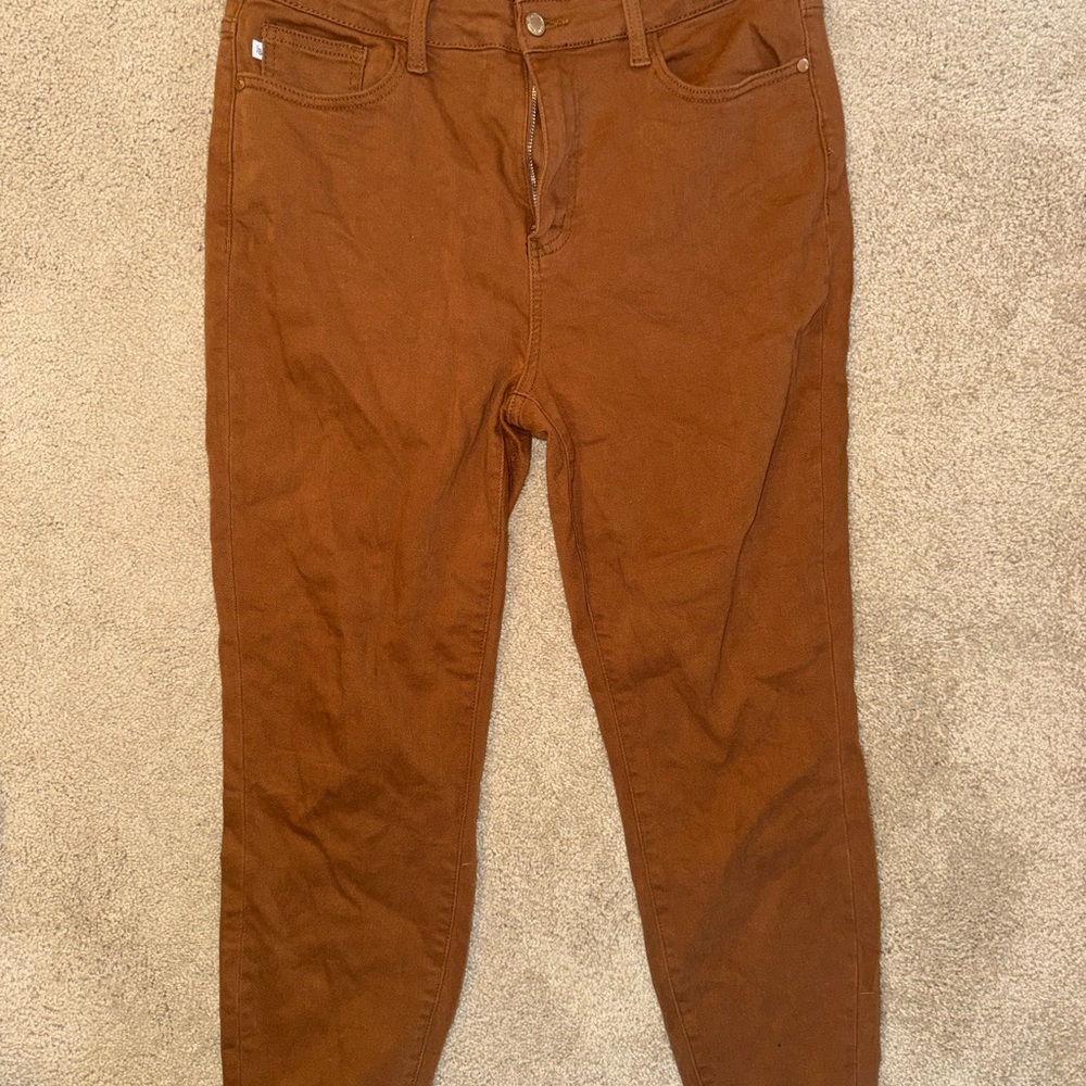 Judy Blue Women's Skinny Jeans in Brown